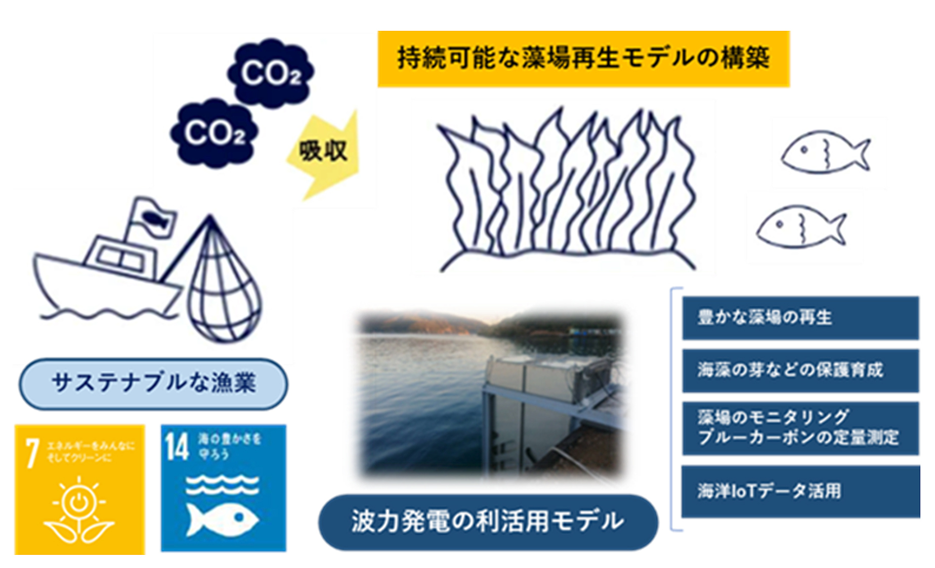 島根県海士町との取り組み