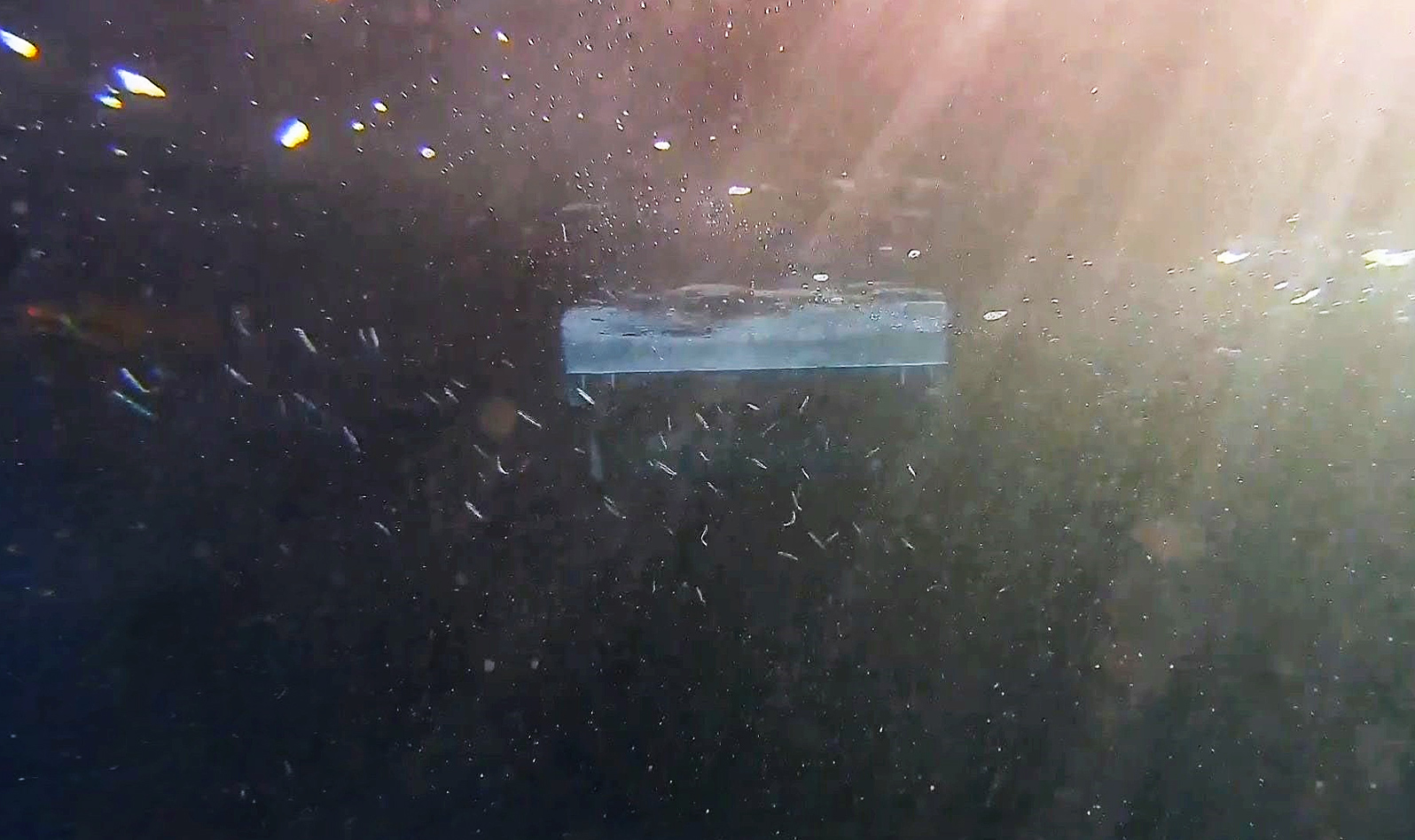 発電時も変わらず魚が遊泳しています