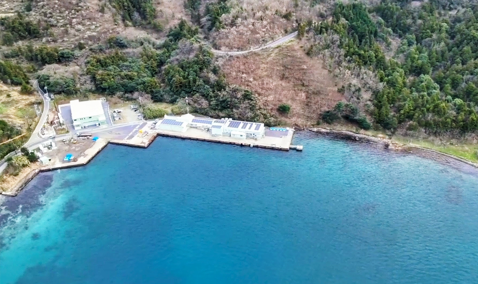 20基並べて設置し20kW/hの発電量が見込めます